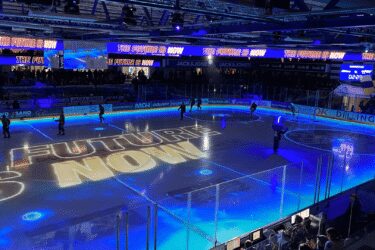 Herning Blue Fox
