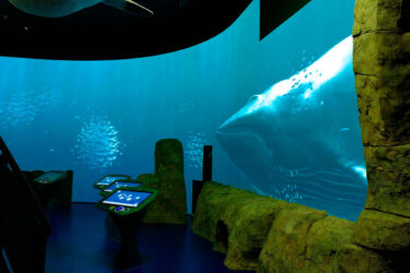 Nordsøens Oceanarium